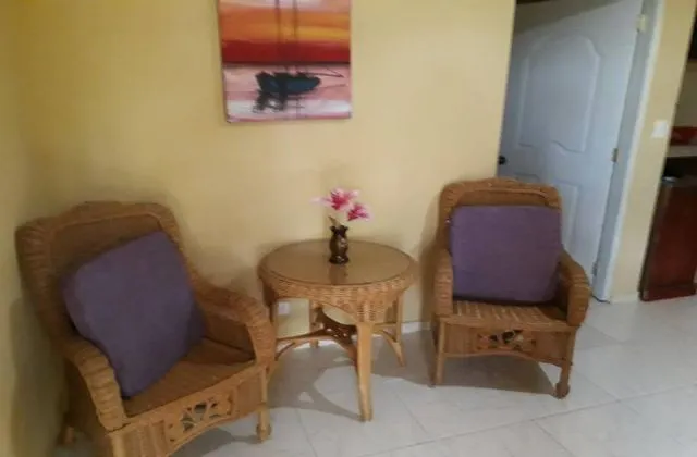 Next Nivel Punta Cana apartment economical